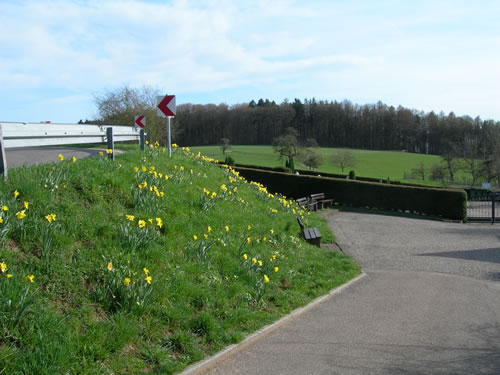 Frühjahrsbepflanzung 2013